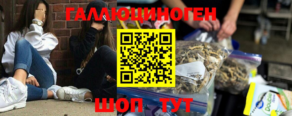 магазин    Вход с VPN  Чернушка  Галлюциногенные грибы Magic Shrooms 